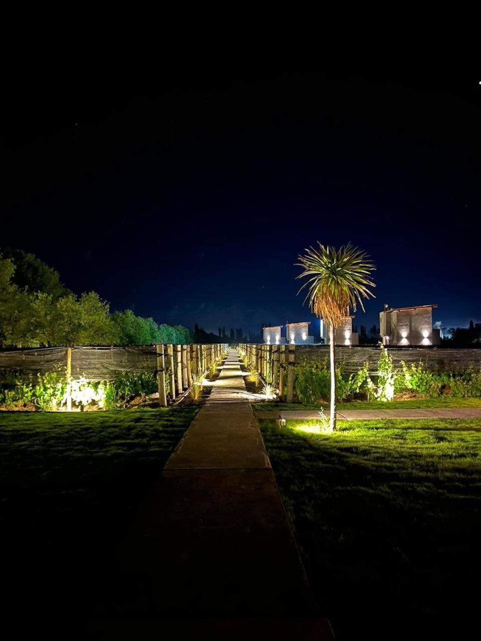 Agrelo Vines Lodge מראה חיצוני תמונה