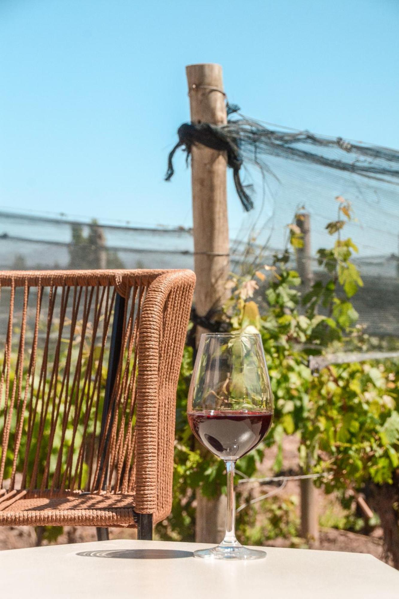 Agrelo Vines Lodge מראה חיצוני תמונה