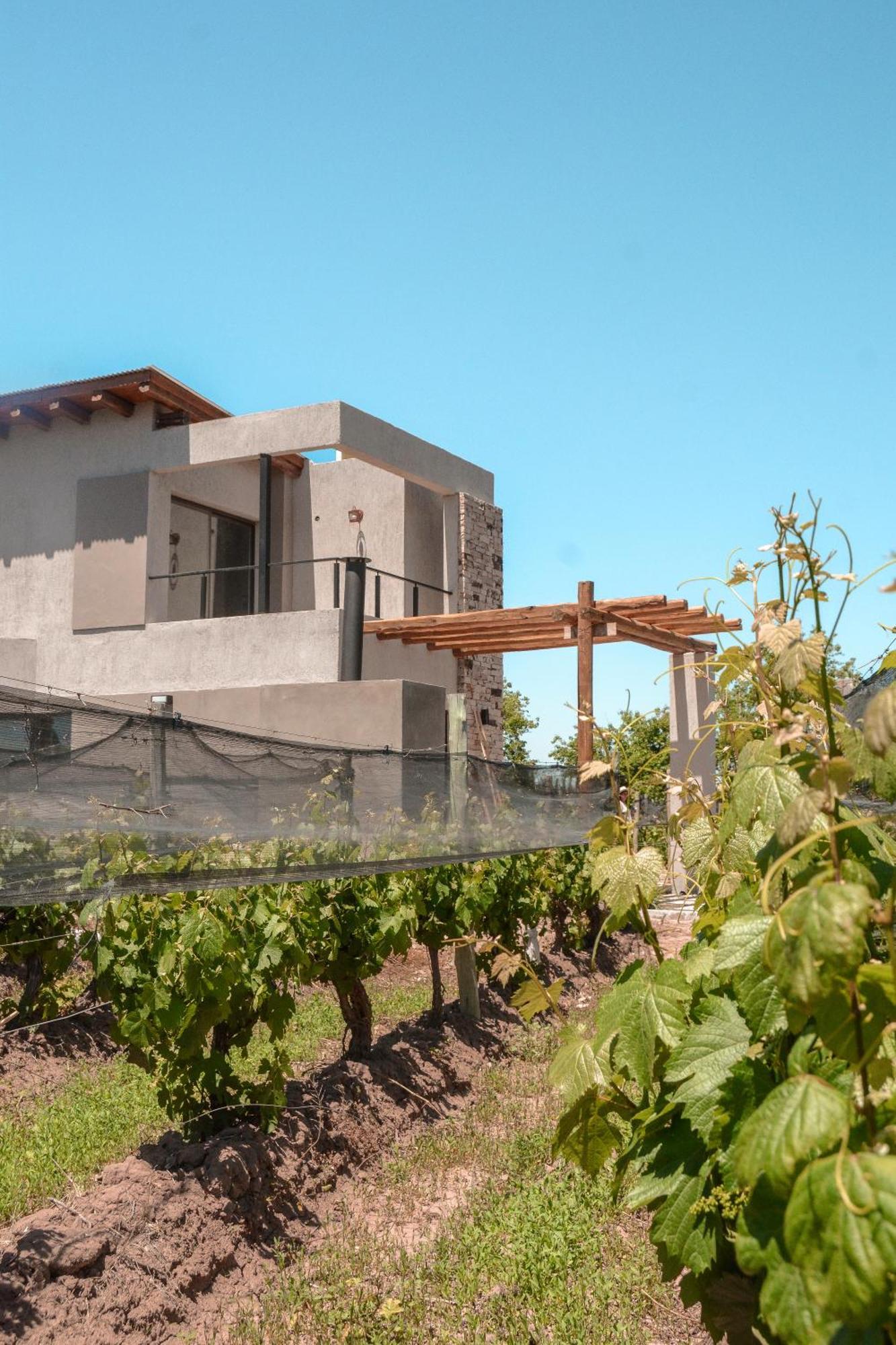 Agrelo Vines Lodge מראה חיצוני תמונה