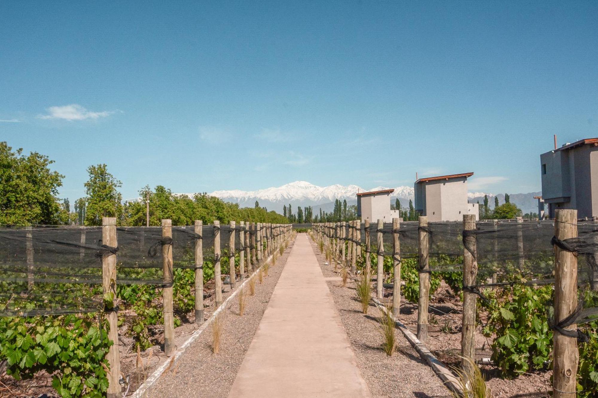 Agrelo Vines Lodge מראה חיצוני תמונה