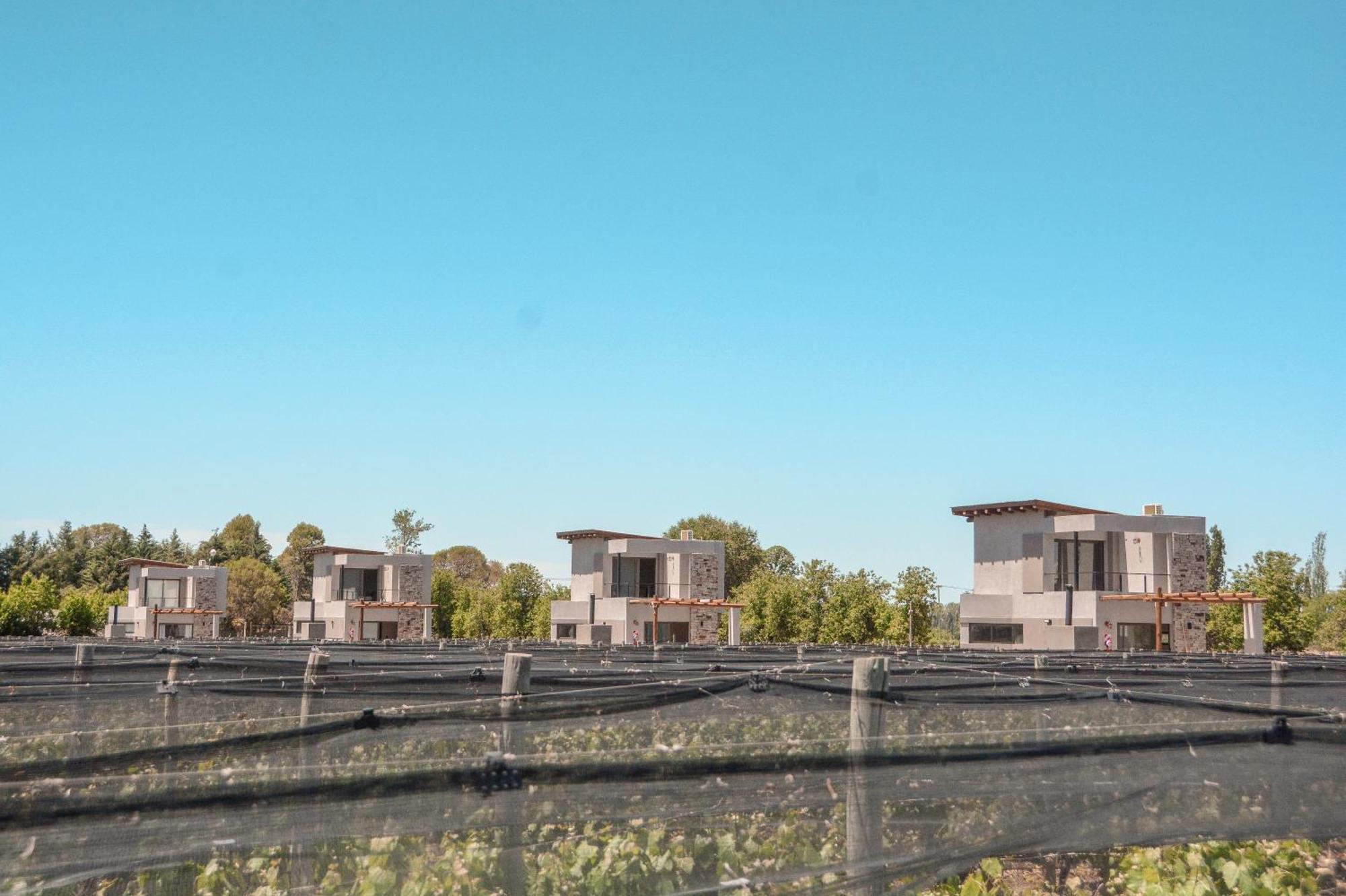 Agrelo Vines Lodge מראה חיצוני תמונה