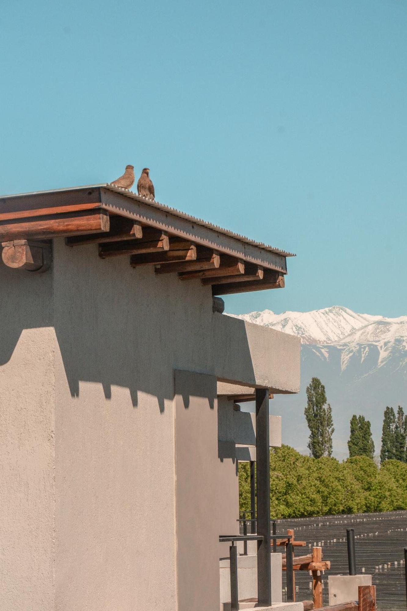 Agrelo Vines Lodge מראה חיצוני תמונה