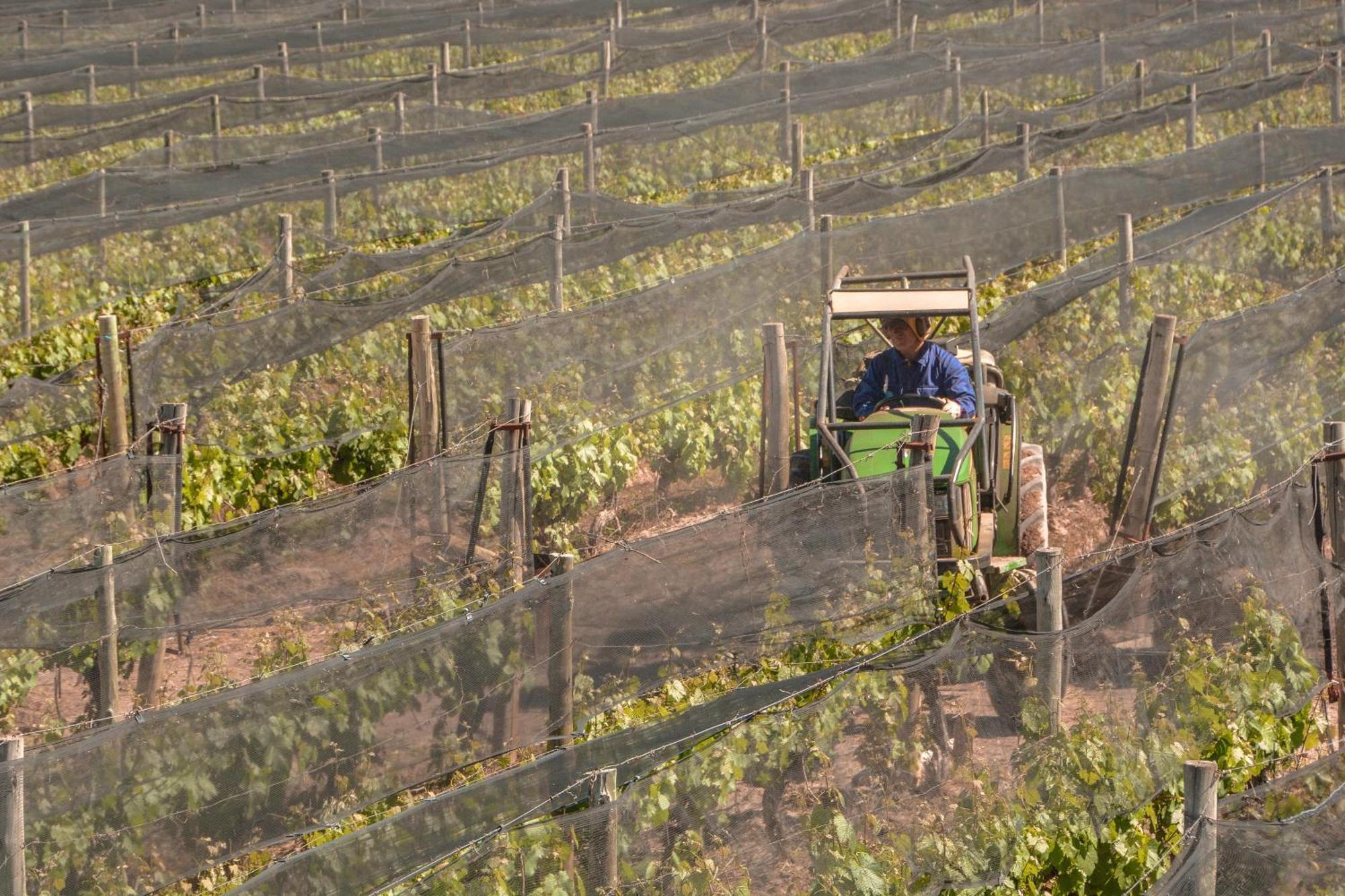 Agrelo Vines Lodge מראה חיצוני תמונה